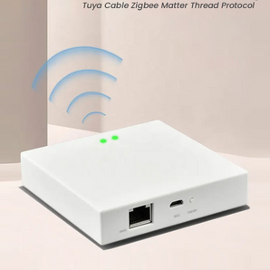 SmrtLyfe Home Gateway Tuya Cable Zigbee Matter Thread Protocol