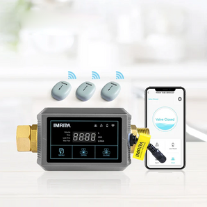 HomeModrn Water Leak Detector