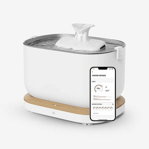 HomeModrn Smart Automatic Cat Fountain